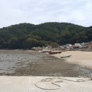 고운정민박 이미지