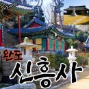 신흥사대웅전 | [부처님오신날] 완도 신흥사 와 신흥사템플스테이 신청방법-수산물전문가 꼼꼼후기