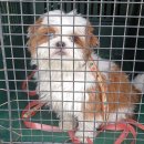 육호광장 이미지