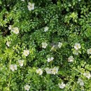 장현농원 이미지