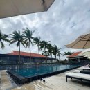 더오션 | 다낭 가족여행 숙소 추천 더오션빌라 내돈내산 후기