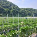 강진면사무소 이미지