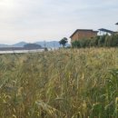 VIP세차경정비 이미지