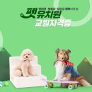 동일유치원 이미지