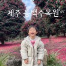 동백수목원[동] 네이버블로그