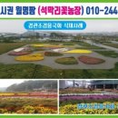 초형농장 네이버블로그