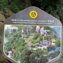 ■ 남해의 일출을 품은 천년 기도처, 향일암(33관음성지 No.15)