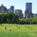 센트럴파크약국 이미지