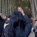 참빛미용실 | [미장원by태현] 연예인도 다닌다는 청담미용실 볼륨매직 후기