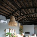 코스타리몬 이미지