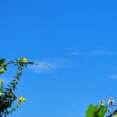 불암체육공원 이미지