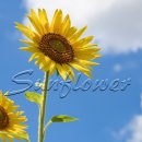 의정부역공인중개사사무소 이미지