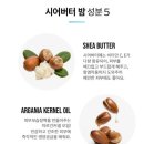 포포 이미지