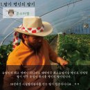준스마켓 | 많은 이야기가 만들어 지고 성황리에 딸기 판매 종료~!
