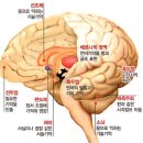 수험생을 위한 마음챙김 명상 네이버블로그
