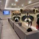 장호선 피부과의원 이미지