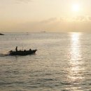 해뜨는바다 이미지