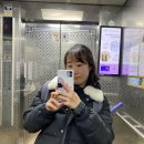 세차토피아 | 11월 둘째 주 푸바오보러 에버랜드 🎠