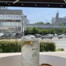 카페마일로안락좋은날에드라마여성