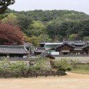 도산서원길(도산면) 이미지