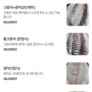 올레수산회센터