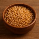 (주)바이오로제트 | 카무트효소란? 카무트 효능, 소화부터 다이어트까지 한번에