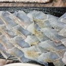만수로회센터 네이버블로그