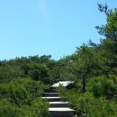 대중바다식당 이미지