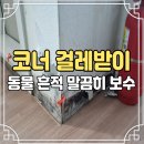 영통로514번길 | 강아지 이빨자국 보수 걸레받이 파손 수리