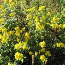 설악농장 이미지