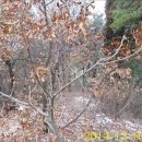 장동초교 이미지