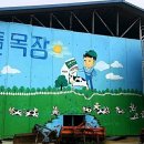 샘뜰목장 네이버블로그