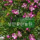 성민꽃농원