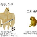 담 LA올림픽에서는 다시 보고 싶은 종목 이미지