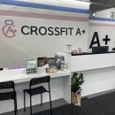 크로스핏 에이플러스 이미지