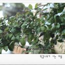 퍼플미학 이미지