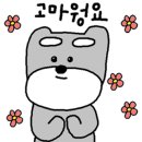 절세미견