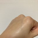 브이앤바이오