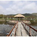 골정지 | 당진 골정지(骨井池)와 건곤일초정(乾坤一草亭)