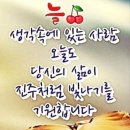 정(情) - 사랑과 이미지