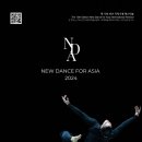 제13회 NDA 국제무용페스티벌 | [24.08.01. - 24.08.03.] 제13회 NDA국제무용페스티벌＿가온홀－대구