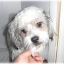 연은동물병원 이미지