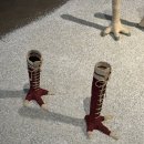 두루미플래닛