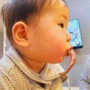 파라다이스 스파 호스텔 이미지