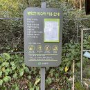 봉원사주차장(약수터)