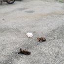 백씨네가든 이미지