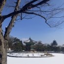청아소주방