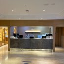 힐튼 경주 실외수영장 | 경주 힐튼 호텔, 조식 뷔페 수영장 후기