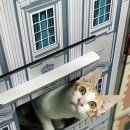 묘한쉼터 이미지