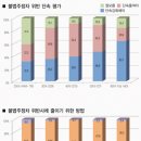 주정차단속-43 이미지